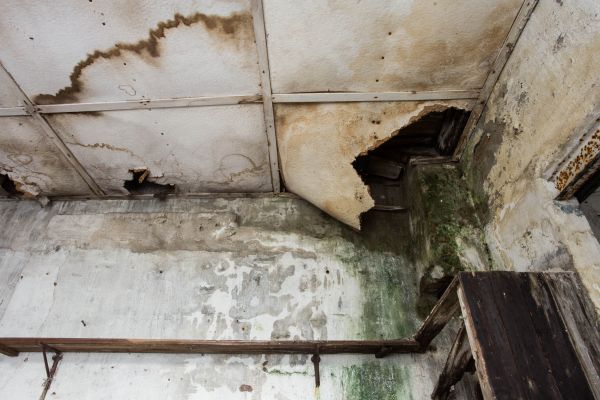 Water Damage Service in Port Orange