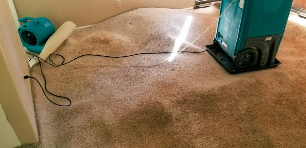 Flood Damage Cleanup in Port Orange