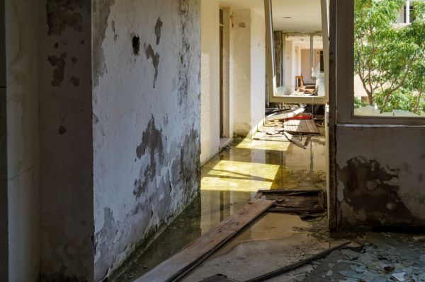 Water Removal Service in Port Orange