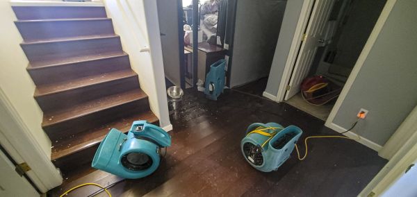 Water Damage Remediation in Port Orange