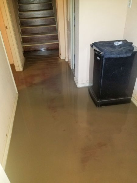 Emergency Water Removal in Port Orange
