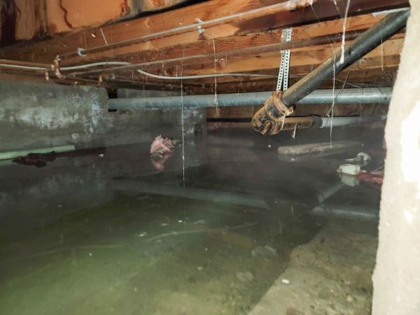 Cost of Crawl Space Drying in Port Orange