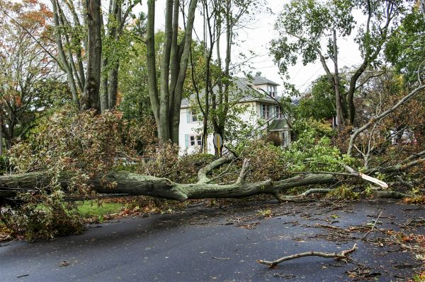 Cost of Tornado Damage Repair in Port Orange