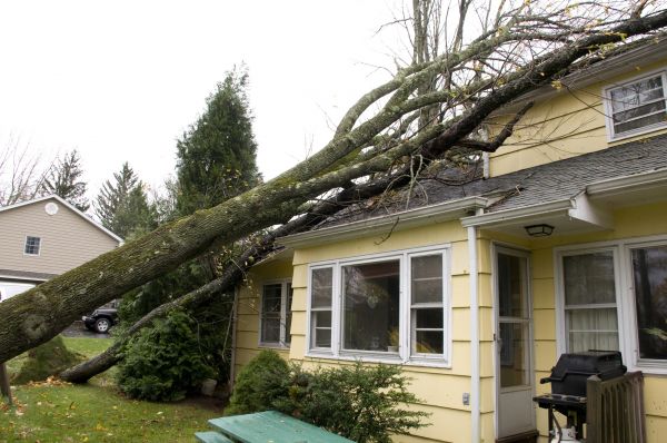 Hurricane Damage Repair in Port Orange